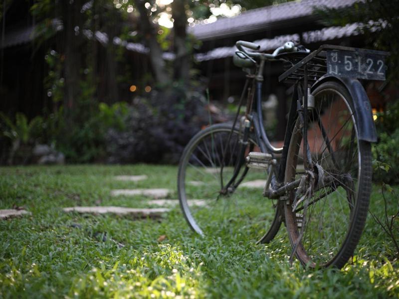 Viva Chiang Mai Nature Home Stay Luaran gambar