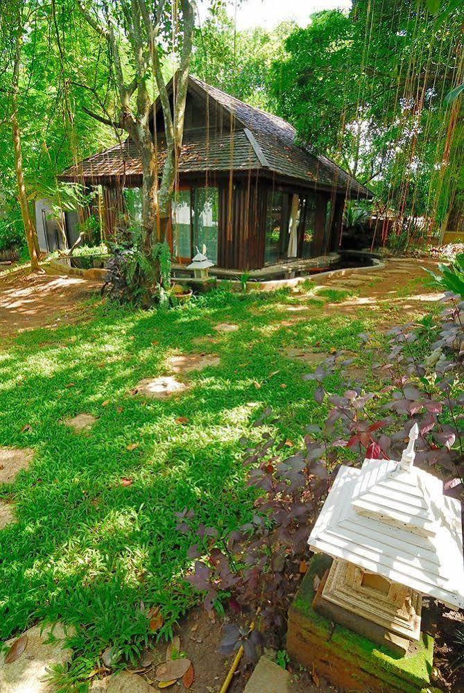 Viva Chiang Mai Nature Home Stay Luaran gambar